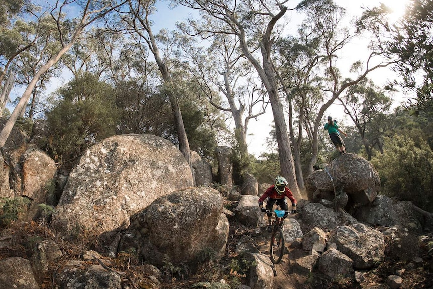 Blue Derby trails