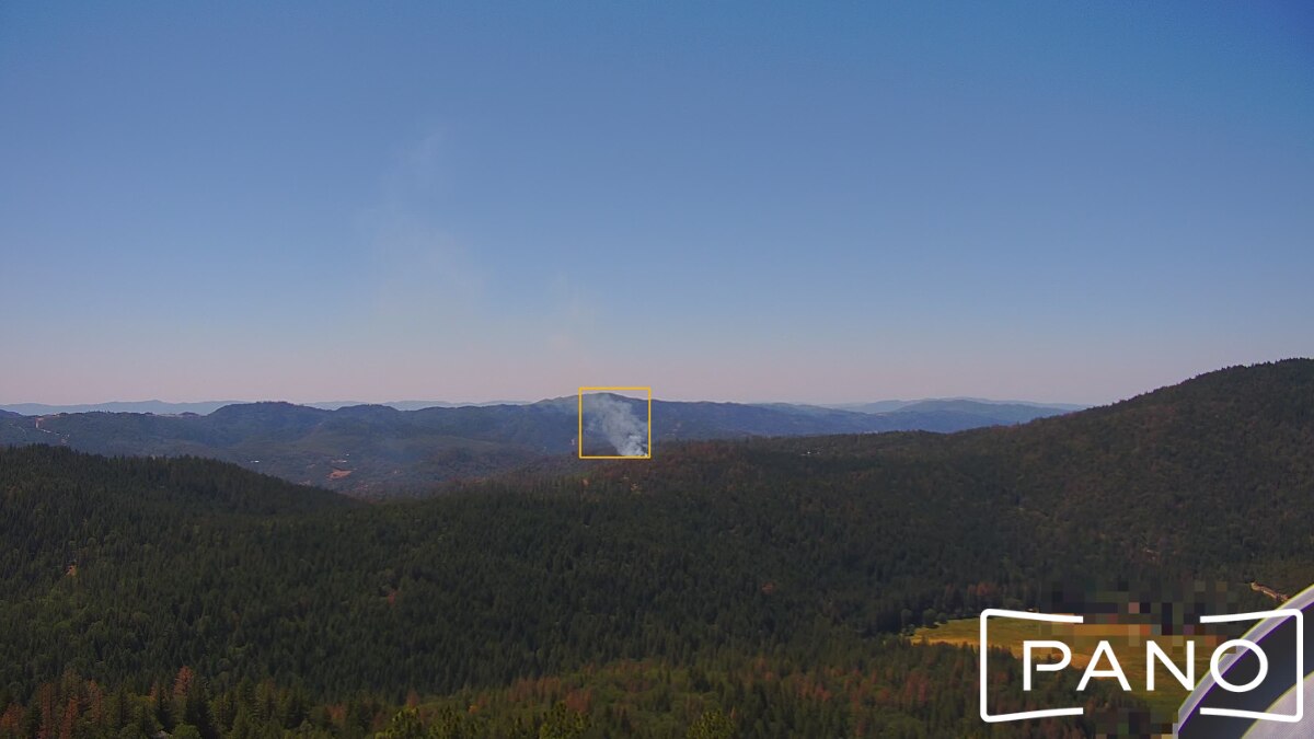 An image of a vast forestry plantation with a plume of smoke coming out the top. 