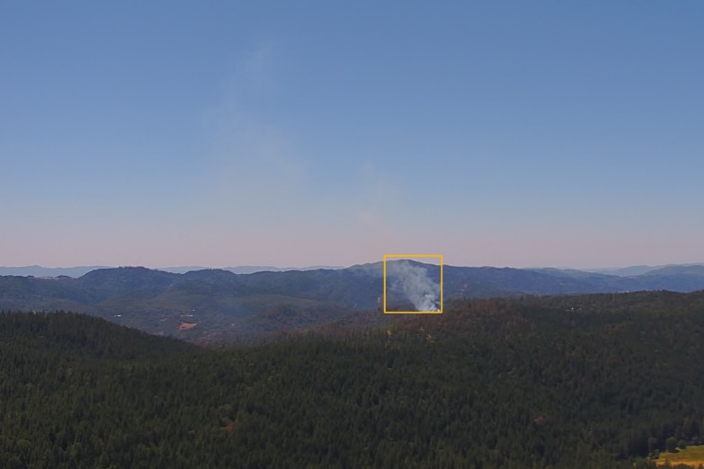 An image of a vast forestry plantation with a plume of smoke coming out the top. 