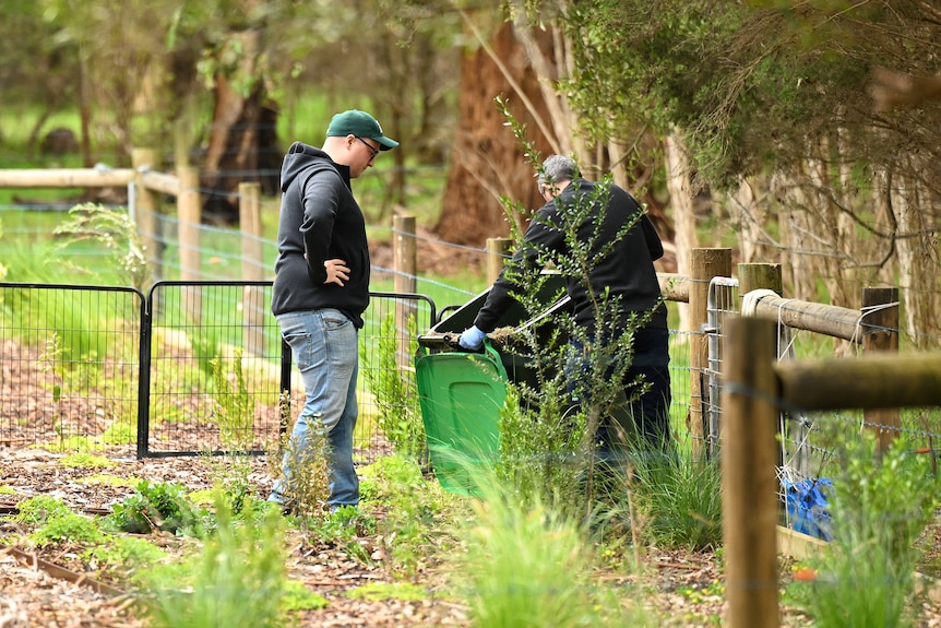 Two detectives are seen looking inside a green lidded rubbish bin at a property.