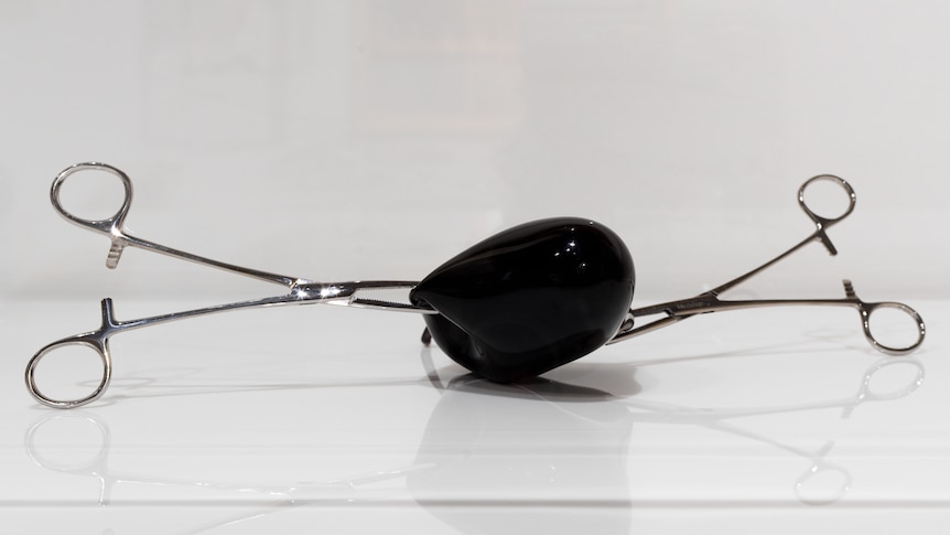 Black glass object shaped like a bush fruit, with stainless steel forceps embedded on each side. 