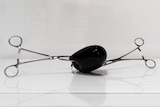 Black glass object shaped like a bush fruit, with stainless steel forceps embedded on each side. 