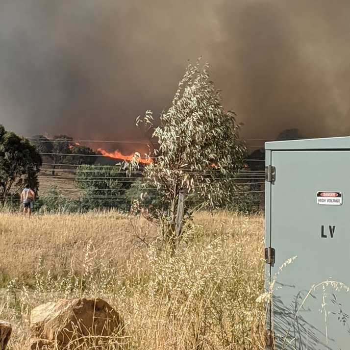 Flames can be seen in the distance, beyond trees and a person standing to watch.