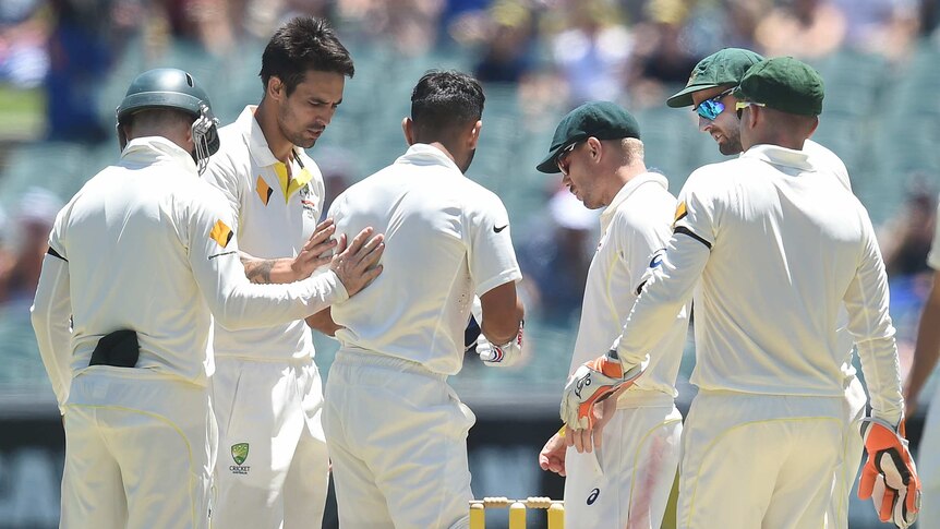 Australian players rush to Virat Kohli after he was hit by a bouncer in Adelaide
