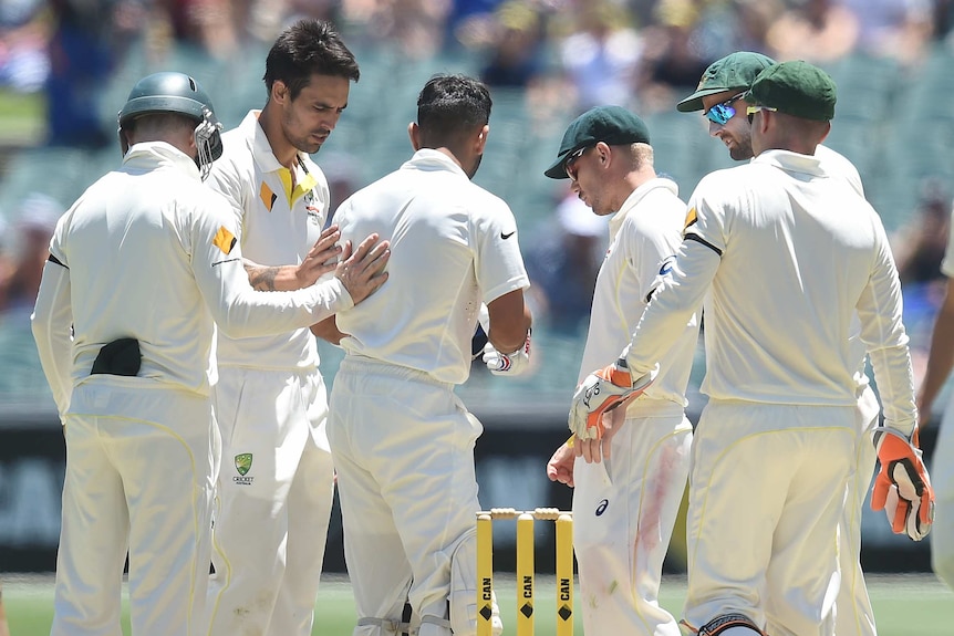 Australian players rush to Virat Kohli after he was hit by a bouncer in Adelaide