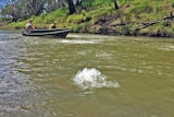 Bubbling in Queensland's Condamine River