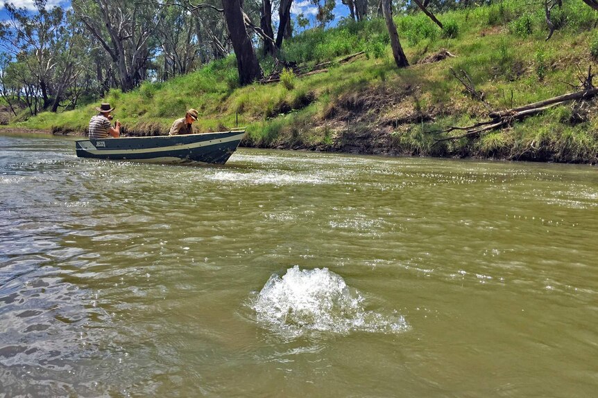 Bubbling in Queensland's Condamine River