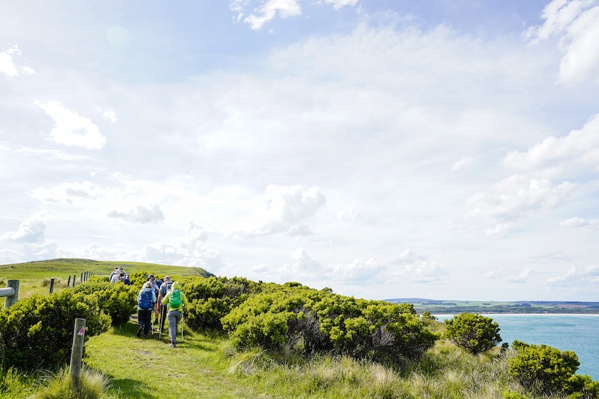 A small group of walkers carrying day packs on their backs walk on a grassy hill alongside to a bright blue coastline.
