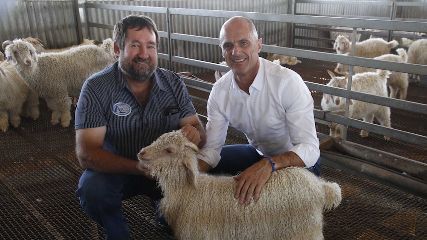 Mohair producer GT Ferreira and Italian textile manufacturer Cesare Savio at close quarters with an Angora goat.
