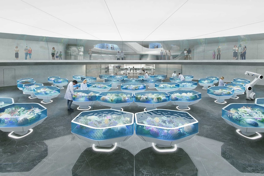 Concept design featuring lots of hexagonal coral tanks in open plan space.
