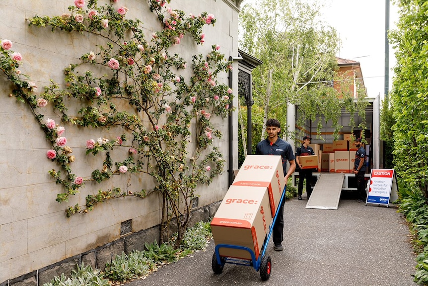 Тъмнокос мъж придвижва опаковъчни кутии чрез количка