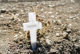 A cross in a cemetary marking a grave