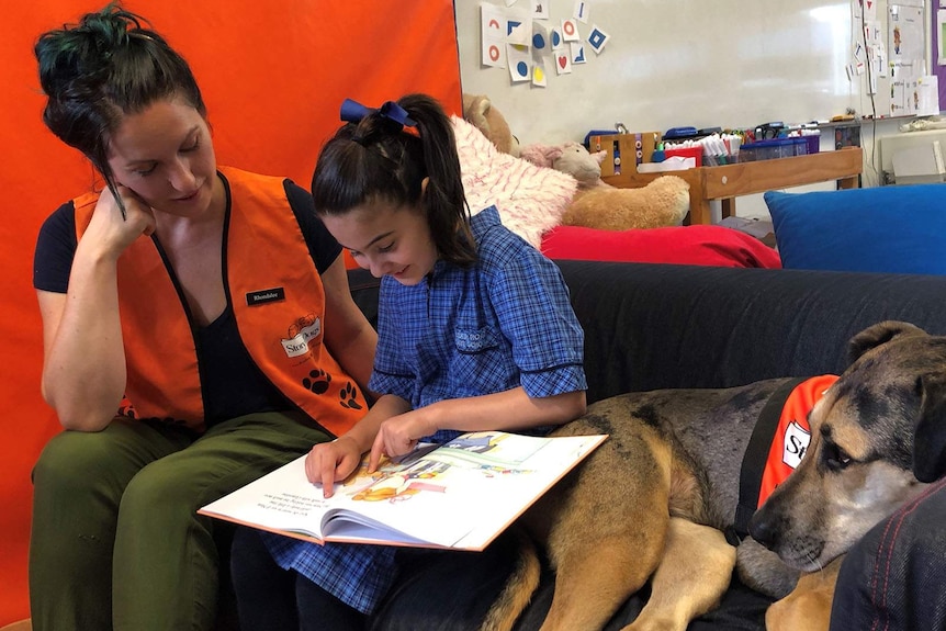 Story Dogs volunteer Rhondalee Hunt reads with Amelie Petreski, 7, and great dane cross Clementine