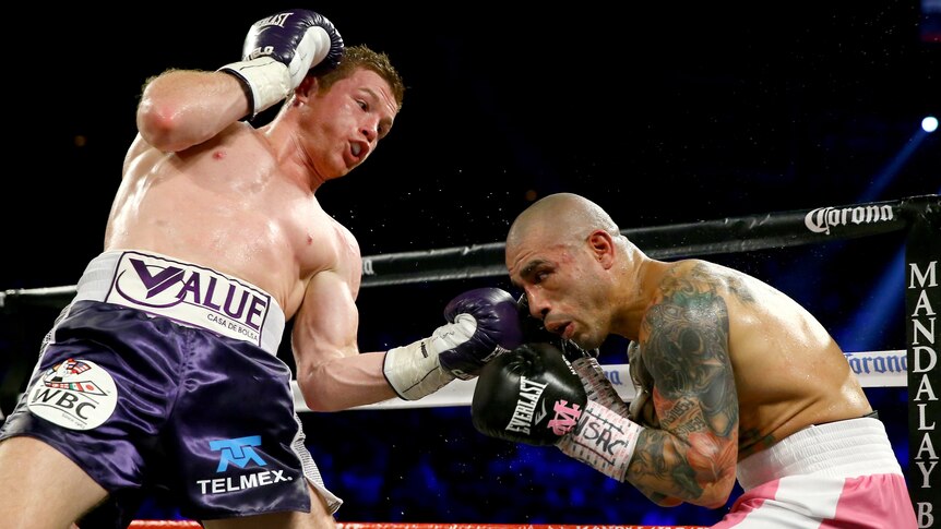 Canelo Alvarez punches Miguel Cotto in title bout