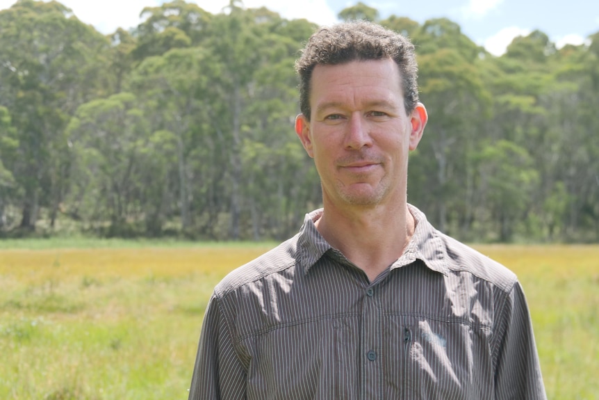 A man in a brown shirt looks at the camera while standing in a green swamp