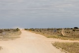 Nullarbor Link Road