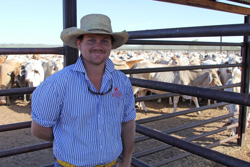 a  man standing in front of a set of cattle yards