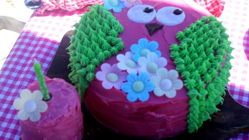 A cake in the shape of an owl