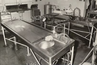 Inside Brisbane's public morgue which ran between 1927 and 1960