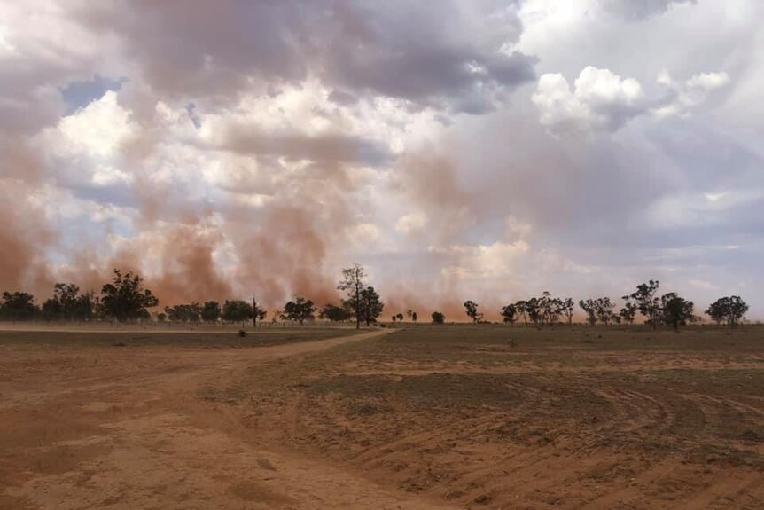 A dry and dusty paddock shows the extent of the drought in western Queensland.