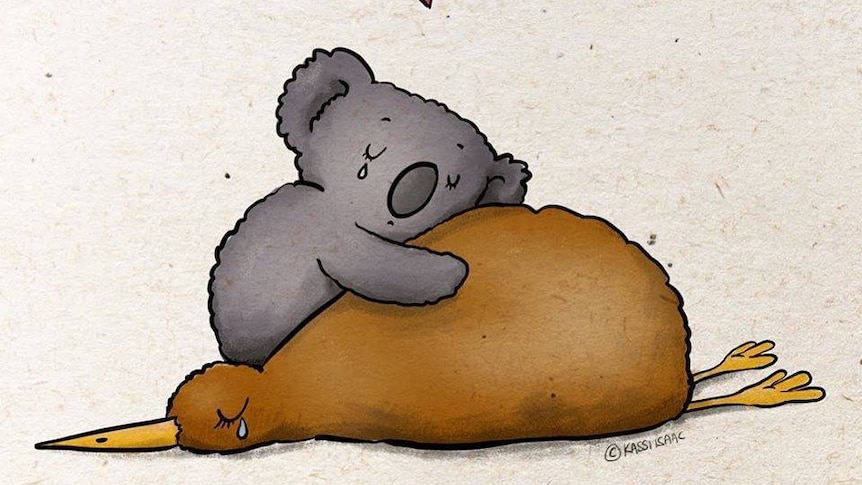 A drawing of a koala hugging a sleeping kiwi