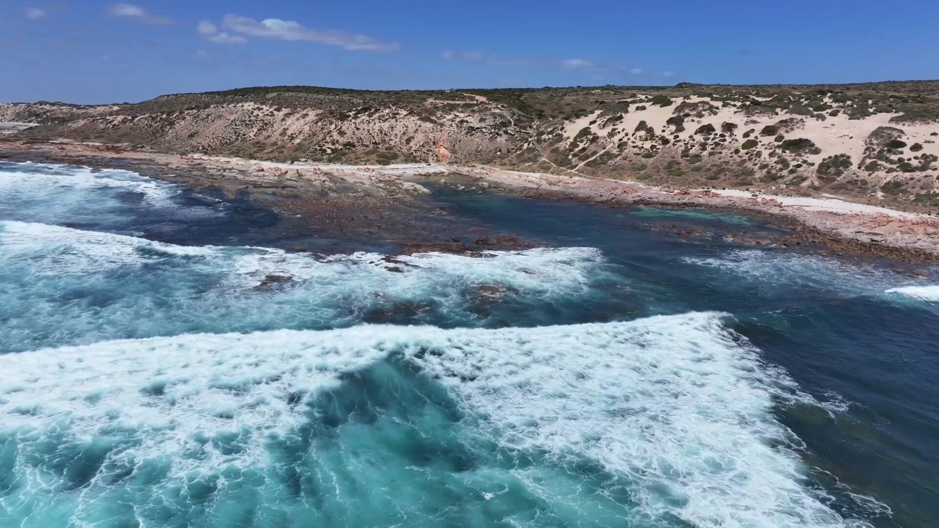 Police searching for body of man believed to be victim of fatal shark