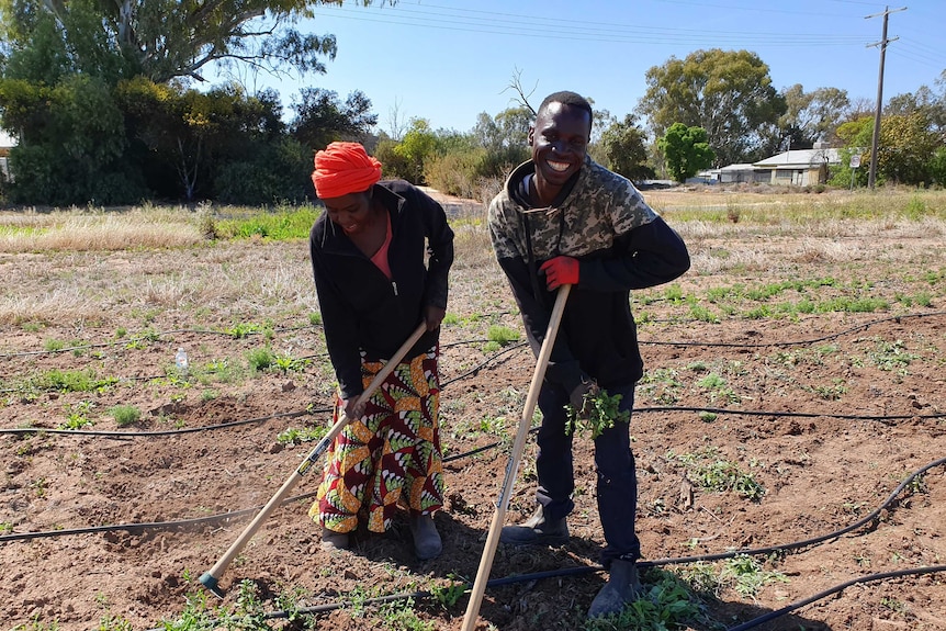 Hot work clearing land to plant peanuts and beans