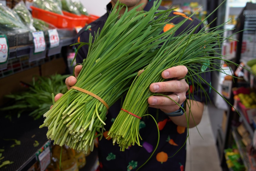 A man holds Chinese chives, left, next to French chives, right, in a green grocer aisle. 
