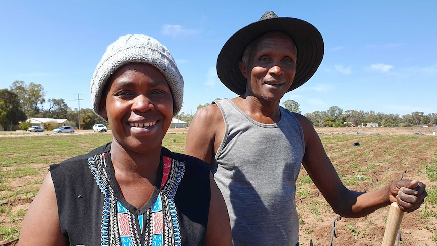 Congolese refugees farming land in Australia