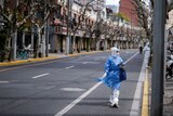 A worker in full PPE walks down an empty street lined with trees and buildings.