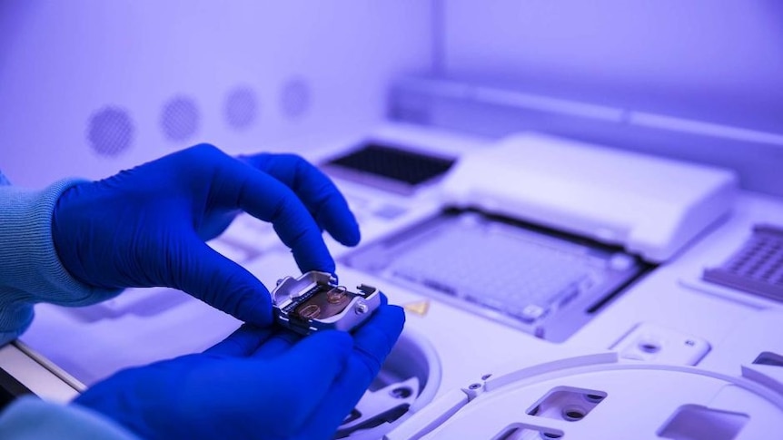 A closeup of a scientist's gloved hands doing delicate DNA work in a lab