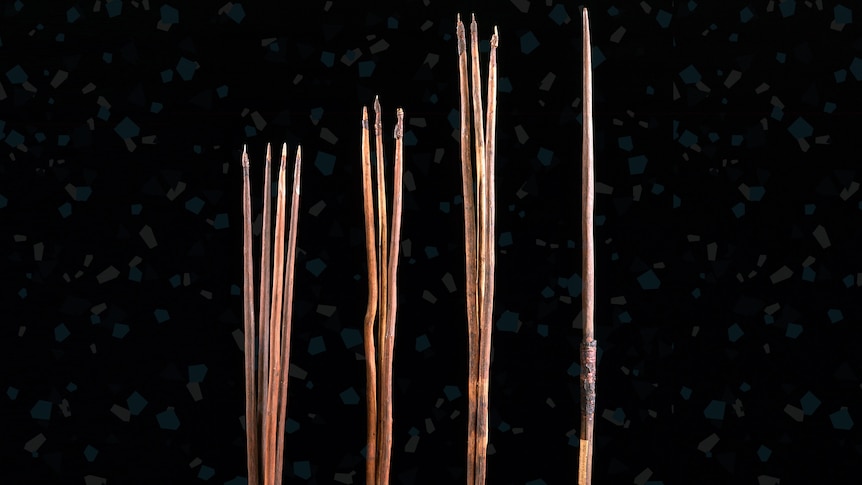 Four wooden spears. The first one has four spikes, th next two have three spikes and the last has one.