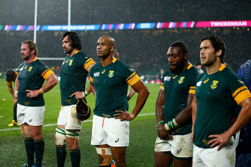 Springboks look on after loss to All Blacks
