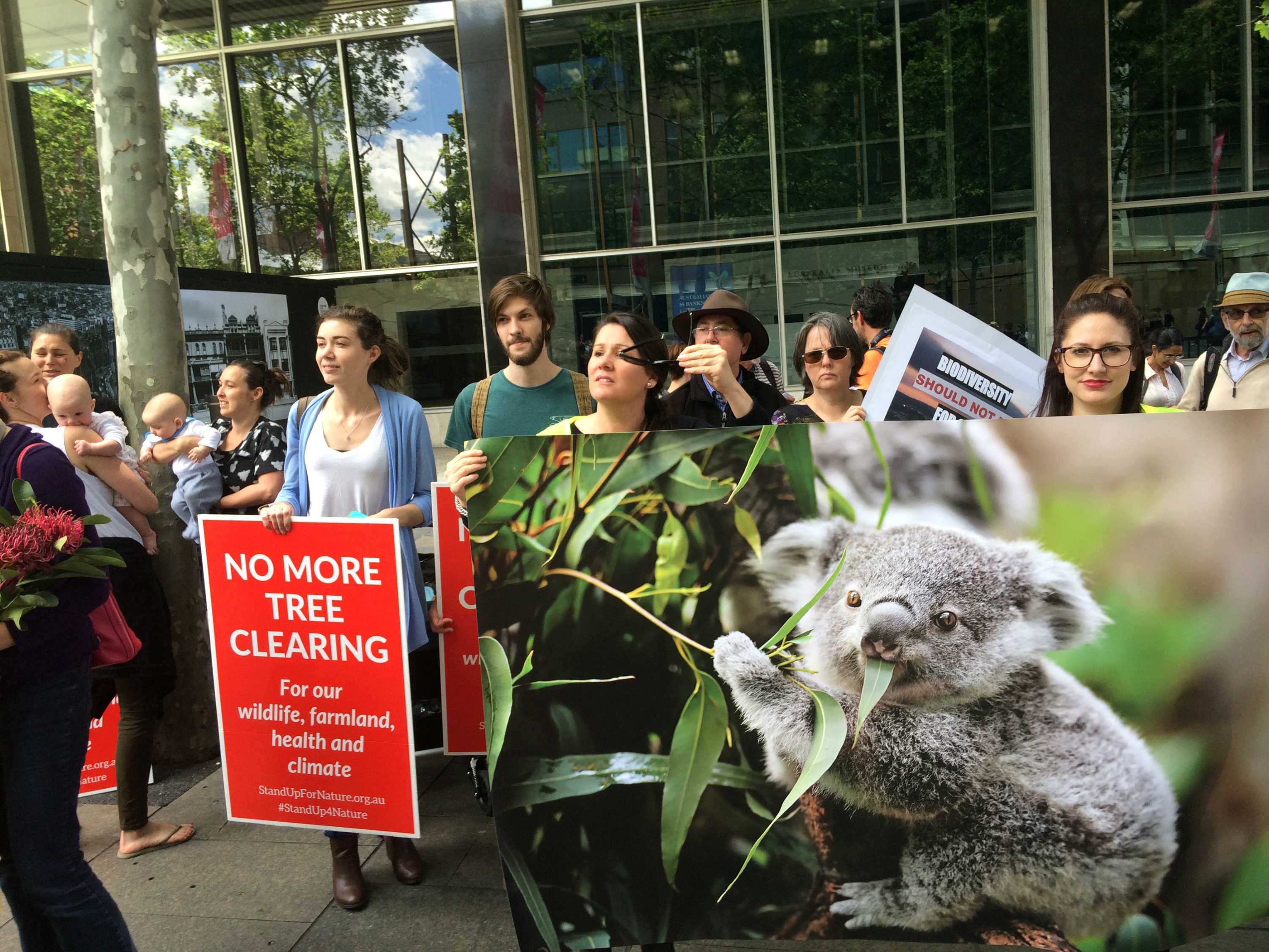 Hundreds protest against proposed changes to NSW land-clearing laws ...
