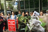 Land clearing protest