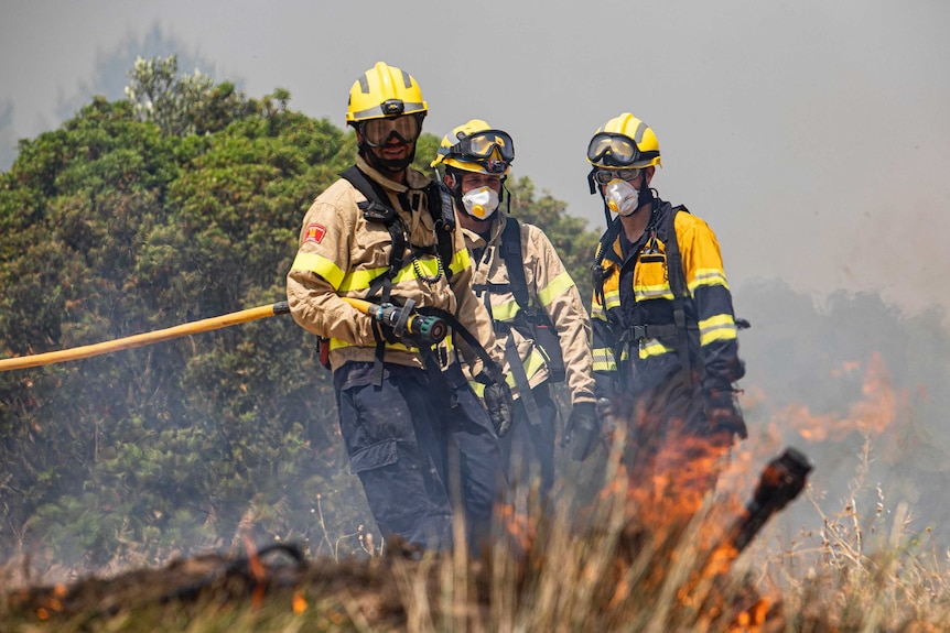 Firefighters try to extinguish a wildfire in Palma d'Ebre, near Tarragona, Spain.