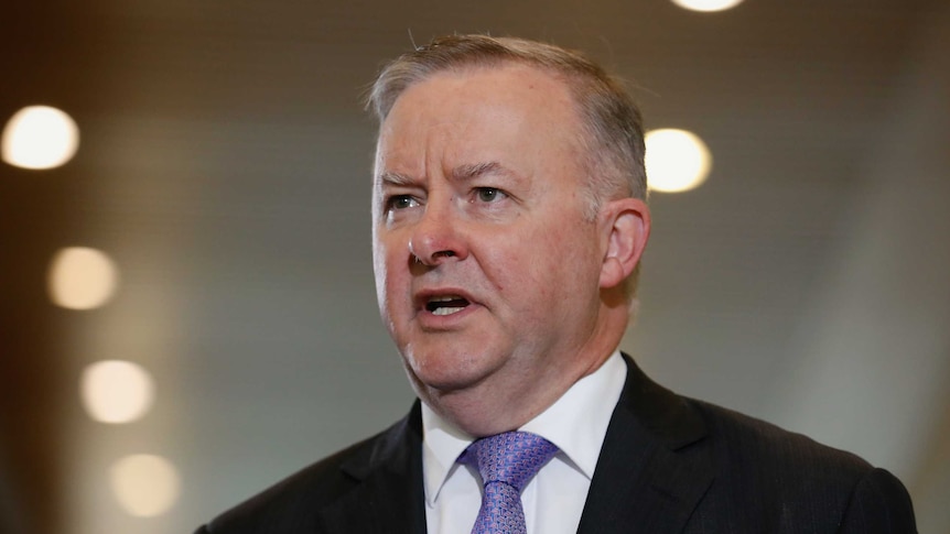 Anthony Albanese