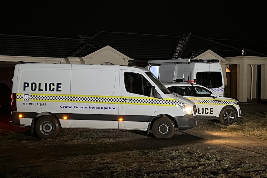 A police van is parked outside a house at night.