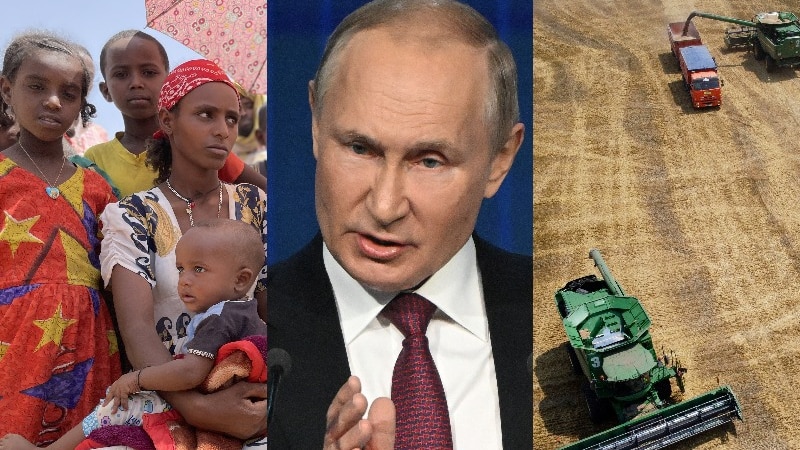 Putin, wheat and Ethiopia composite