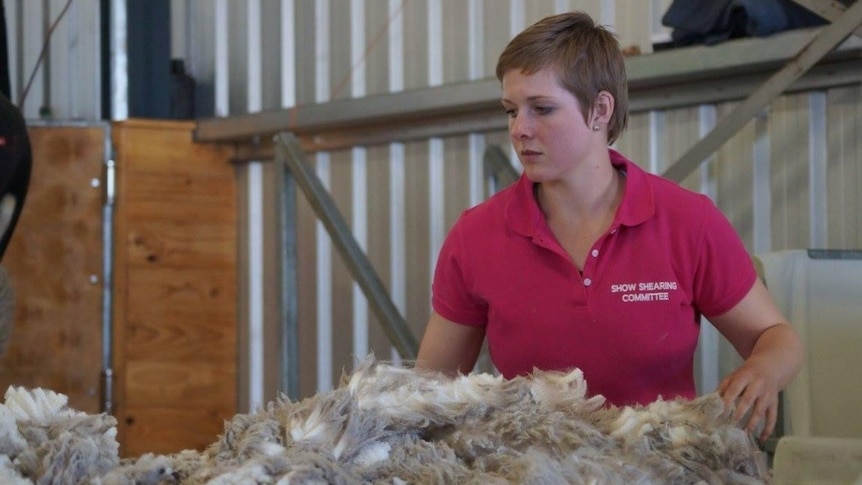 Girl with short cropped hair in shearing shed sorting a fleece of wool in front of her on table