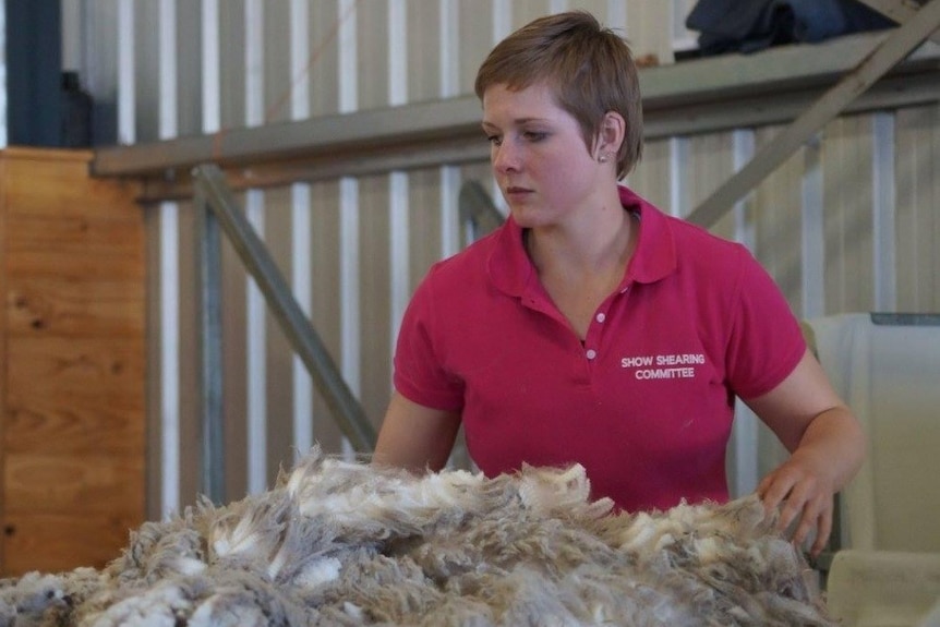 Girl with short cropped hair in shearing shed sorting a fleece of wool in front of her on table