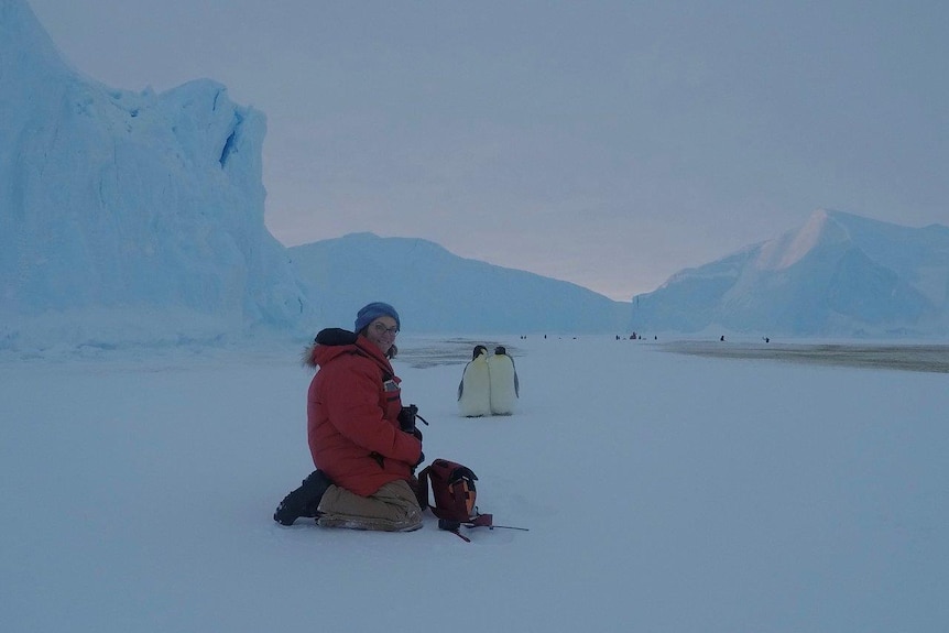 Esther Rodewald at Auster in Antarctica