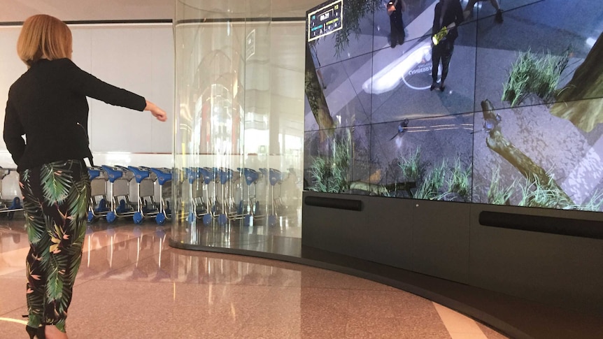 A woman stands in front of a large video screen, on which she can be seen shining a spotlight on some bettongs.