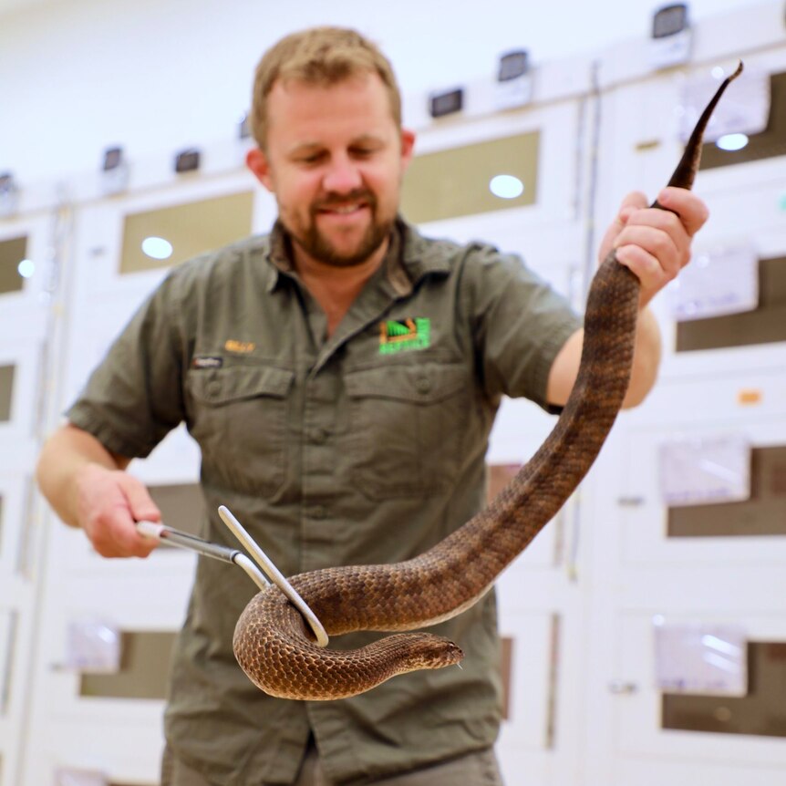 A smiling, bearded man in khakis handles a snake with a crook.