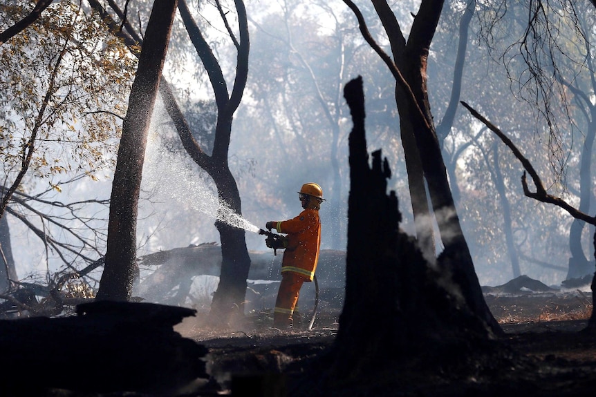 A CFA firefighter mops up a fire.