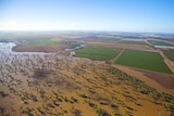 Aerial shot of flood waters flowing adjacent to irrigated crops in NSW