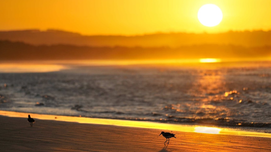 Sun over a beach