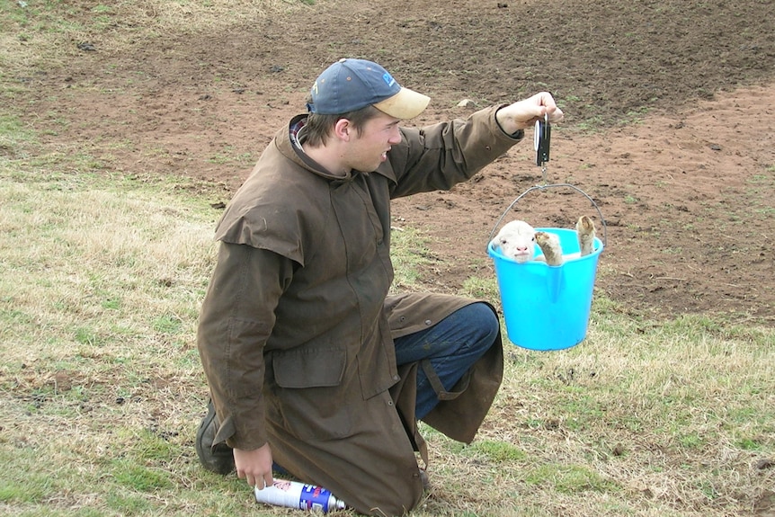 Photo of a man holding a bucket with a lamb in it.