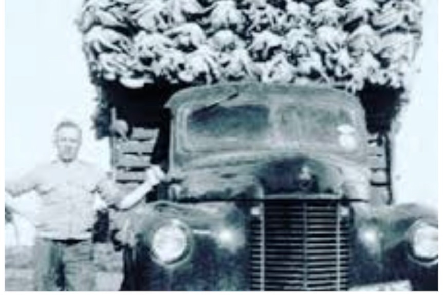 Old photo of two man on a tractor filled with produce.