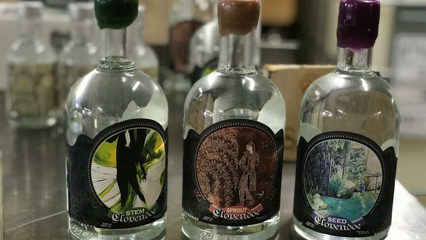 Three bottles, each with a different label - Stem, Sprout, Seed.
